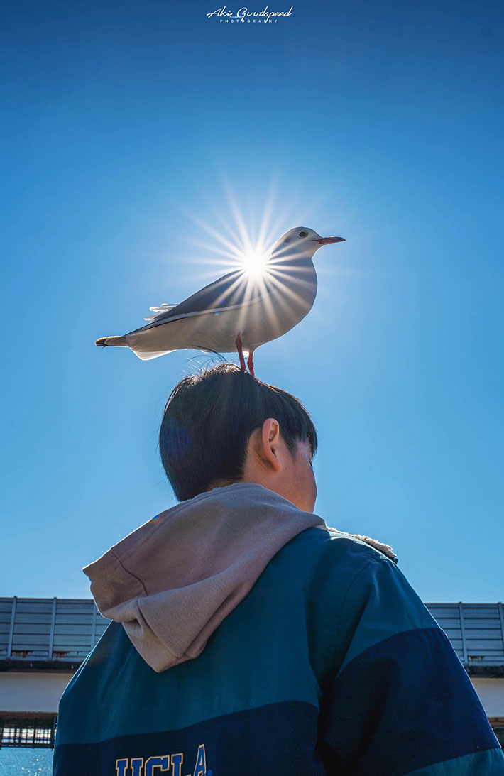 息子の写真