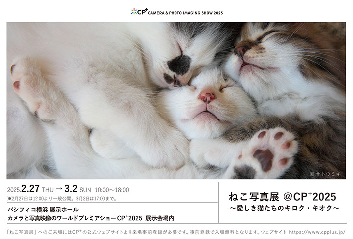 ねこ写真展@CP+2025～愛しき猫たちのキロク・キオク～