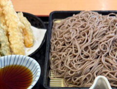 日本食の写真