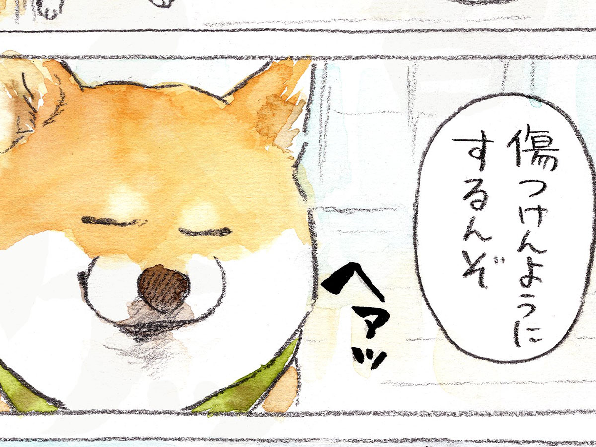 犬山スケッチさんの漫画の画像