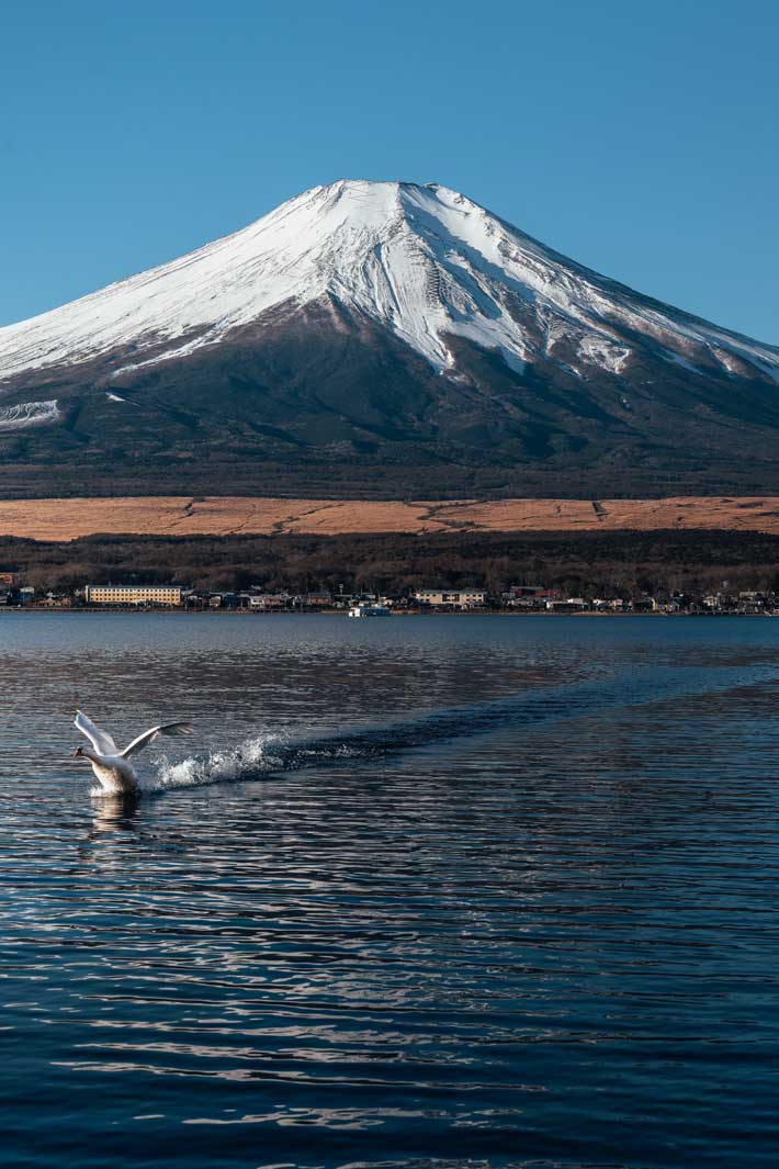 富士山の写真