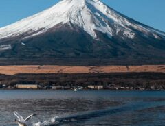 堂々とたたずむ富士山の下には…　『二度見』しそうな１枚に「めちゃくちゃいい瞬間」