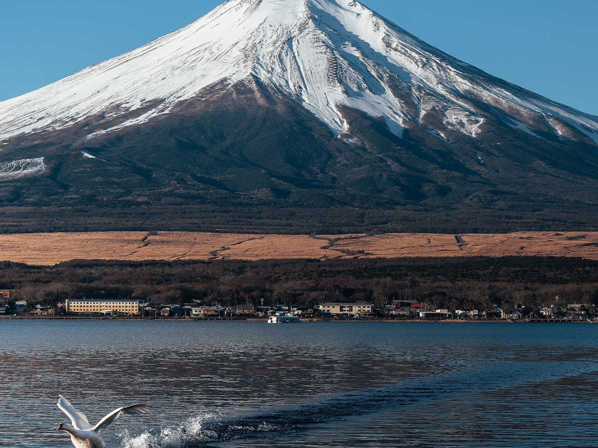 富士山の写真