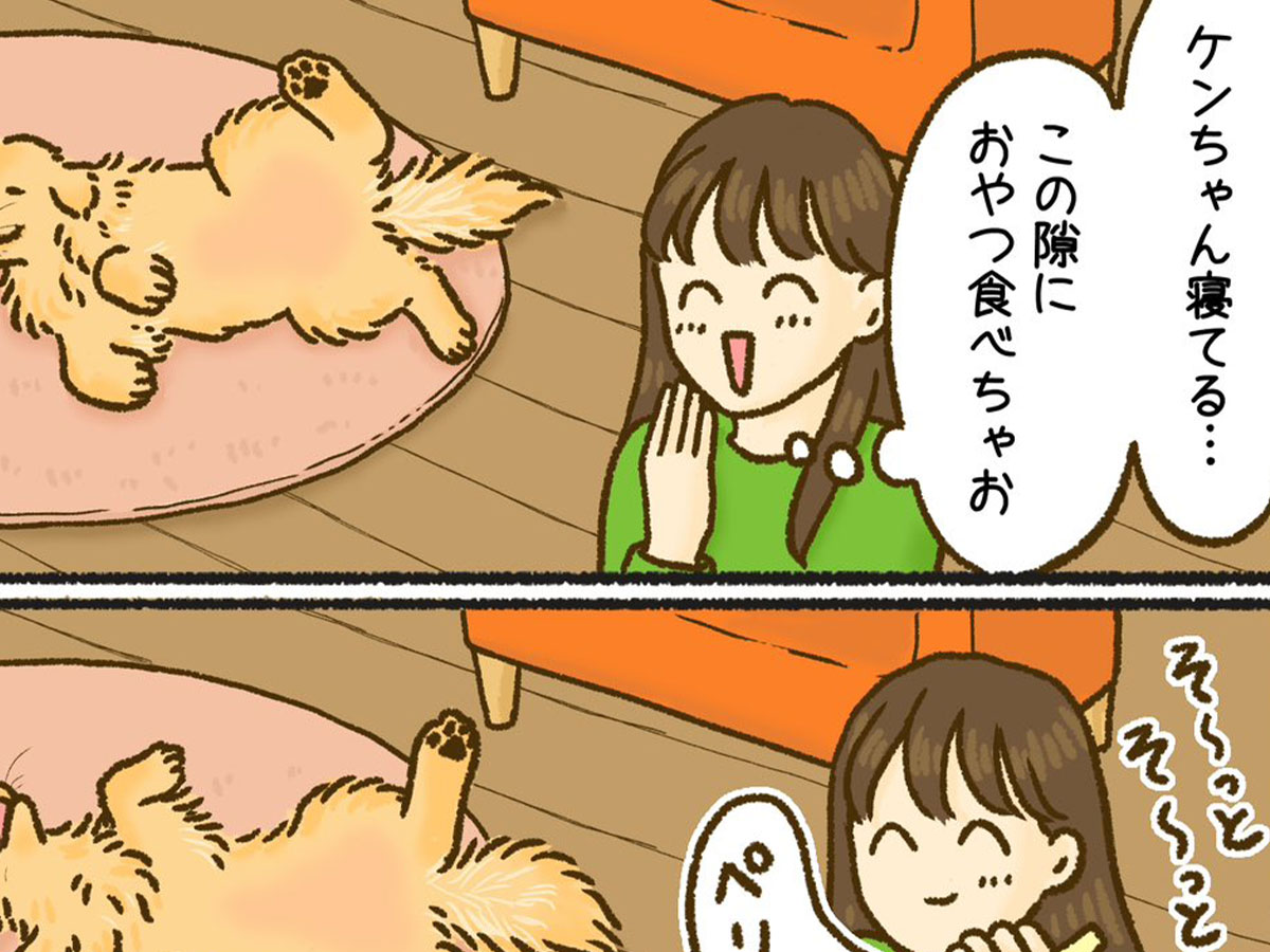 8kanchi8さんの漫画の写真