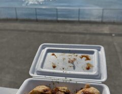 瀬戸内海とたこ焼きの写真