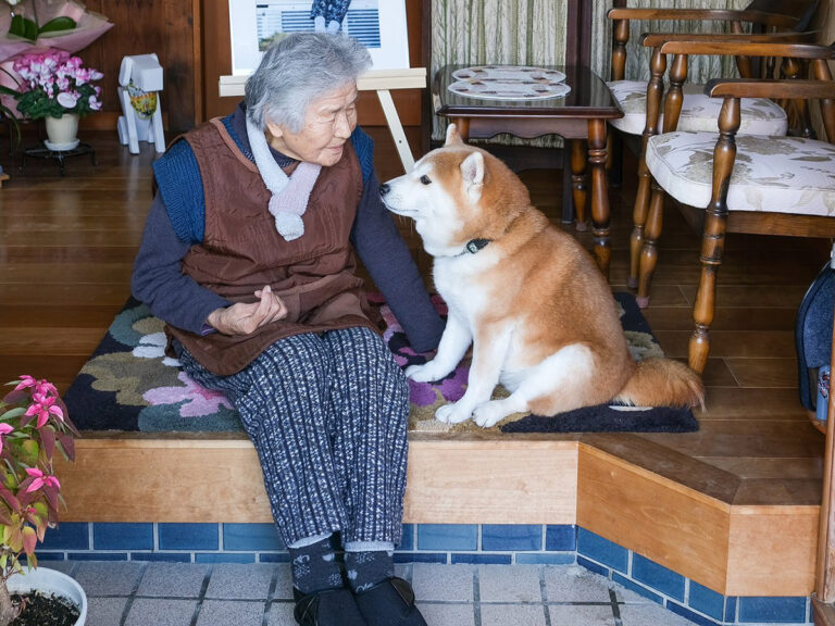 YASUTO（@yasuto8888）さんが投稿した、おばあちゃんと柴犬の福ちゃんの１枚