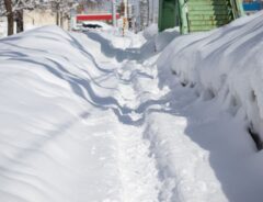 雪が降り積もった道