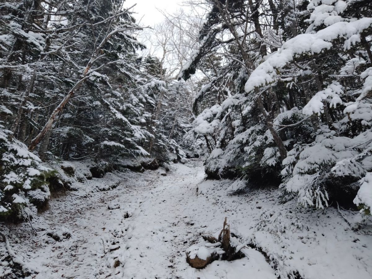 雪が降り積もった山道