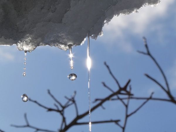 雪とつらら