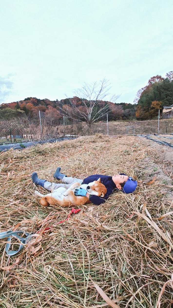 男の子と柴犬