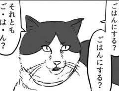 漫画の画像