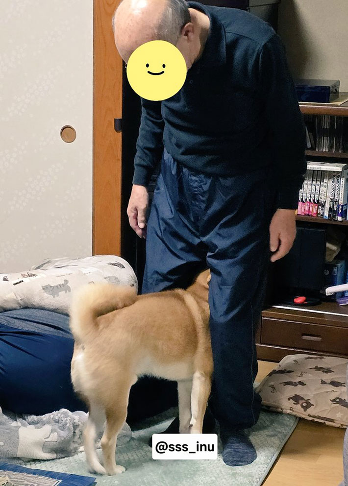 犬の写真