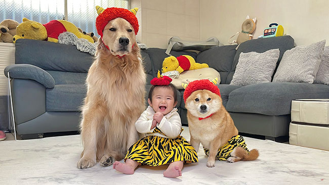 赤ちゃんと犬の写真