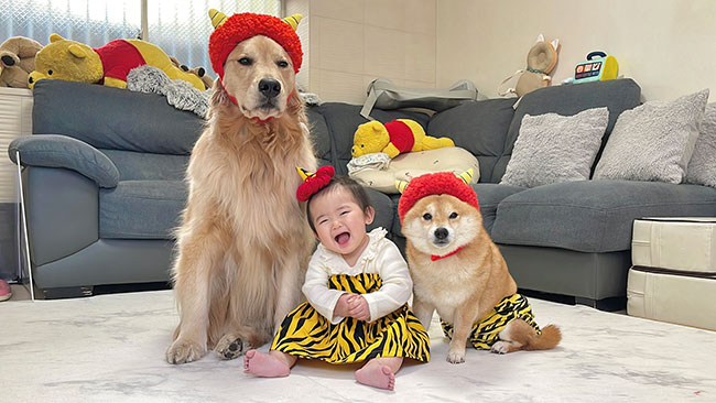 赤ちゃんと犬の写真