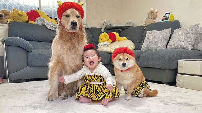 赤ちゃんと犬の写真