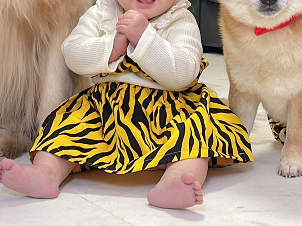 赤ちゃんと犬の写真