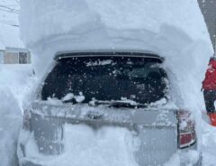 車と雪の写真