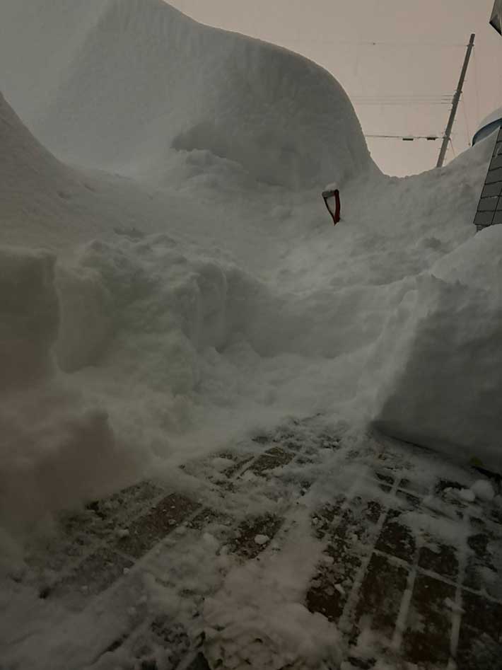 雪の画像