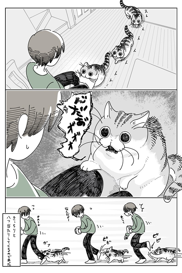 猫の漫画