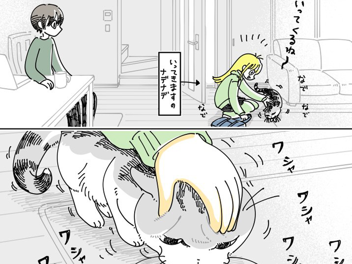 猫の漫画