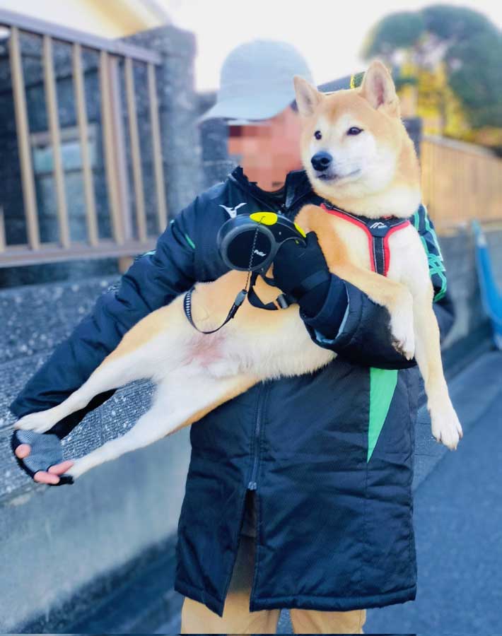 父親に抱っこされる犬