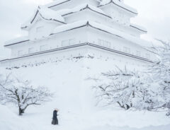 雪が積もった城、地面にいるのは？　写真に「見間違いか」「何かがいるような気がする」