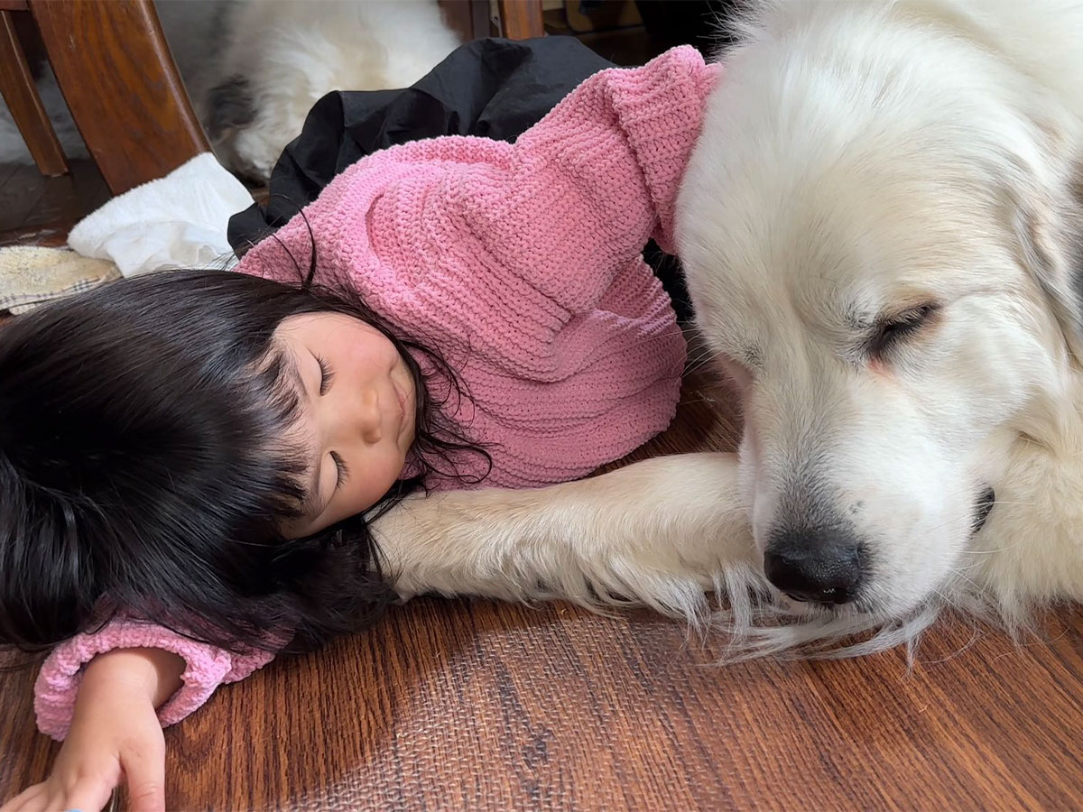 子供と犬の写真