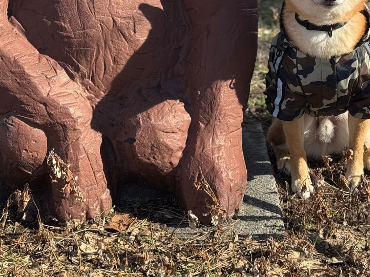 柴犬とゴリラのオブジェの写真