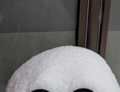 雪が積もったゴミ箱