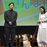 安田顕さんを見つめる柴犬・のこちゃん