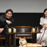 堂々とセンターで話を聞く、柴犬・のこちゃん