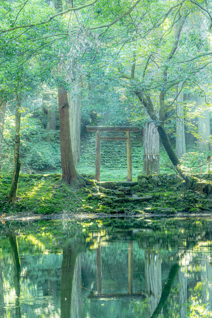 神社の写真