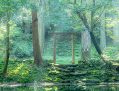 神社の写真