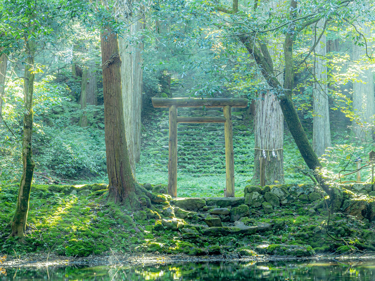 神社の写真