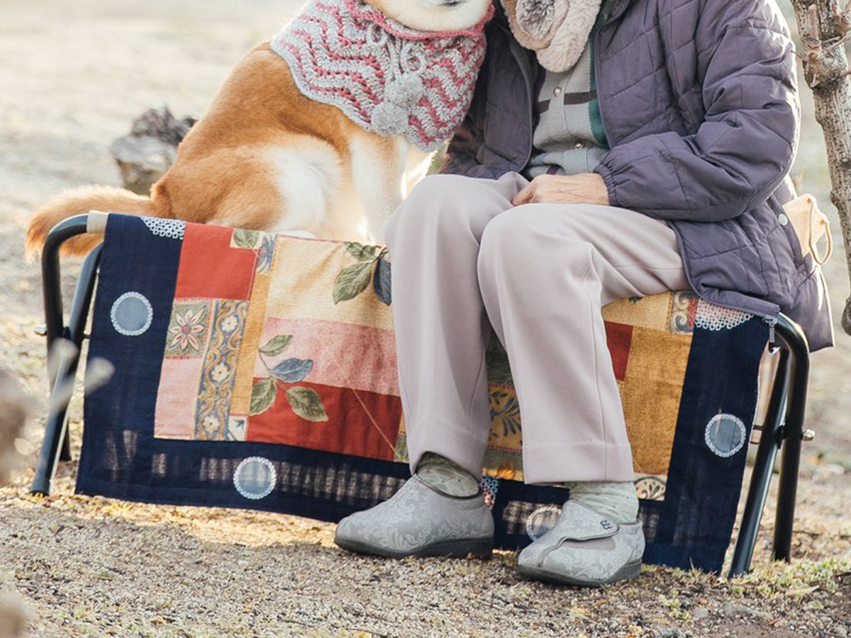 おばあちゃんと柴犬の写真