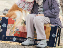 おばあちゃんと柴犬の写真