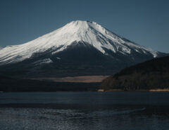 富士山と白鳥の写真