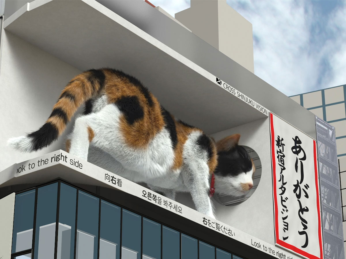 新宿東口の猫