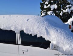 雪が積もった車