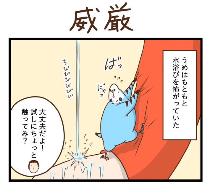 タクセニョリータさんの漫画画像