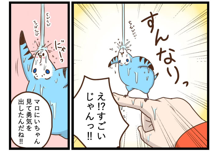 タクセニョリータさんの漫画画像