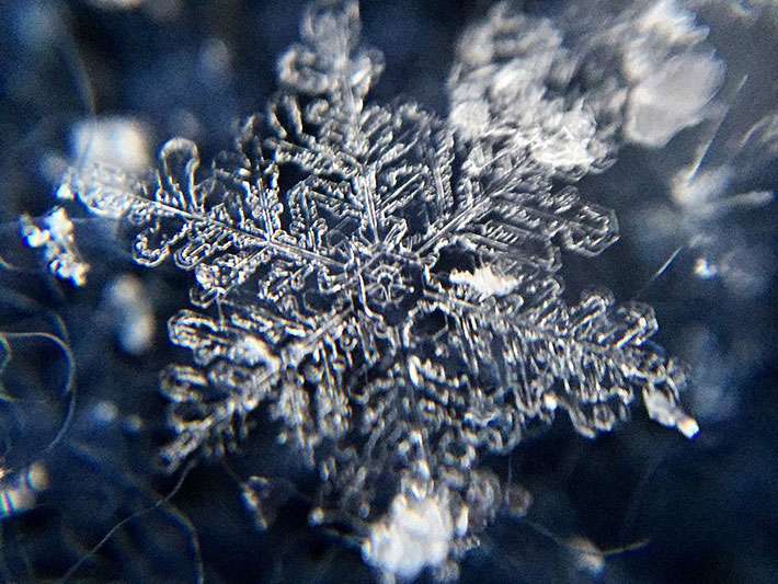 雪の結晶の画像