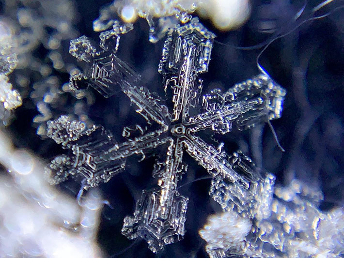 雪の結晶の画像