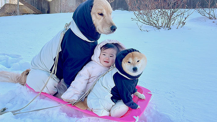 犬と子供の反り滑り写真