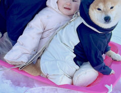 犬と子供の反り滑り写真