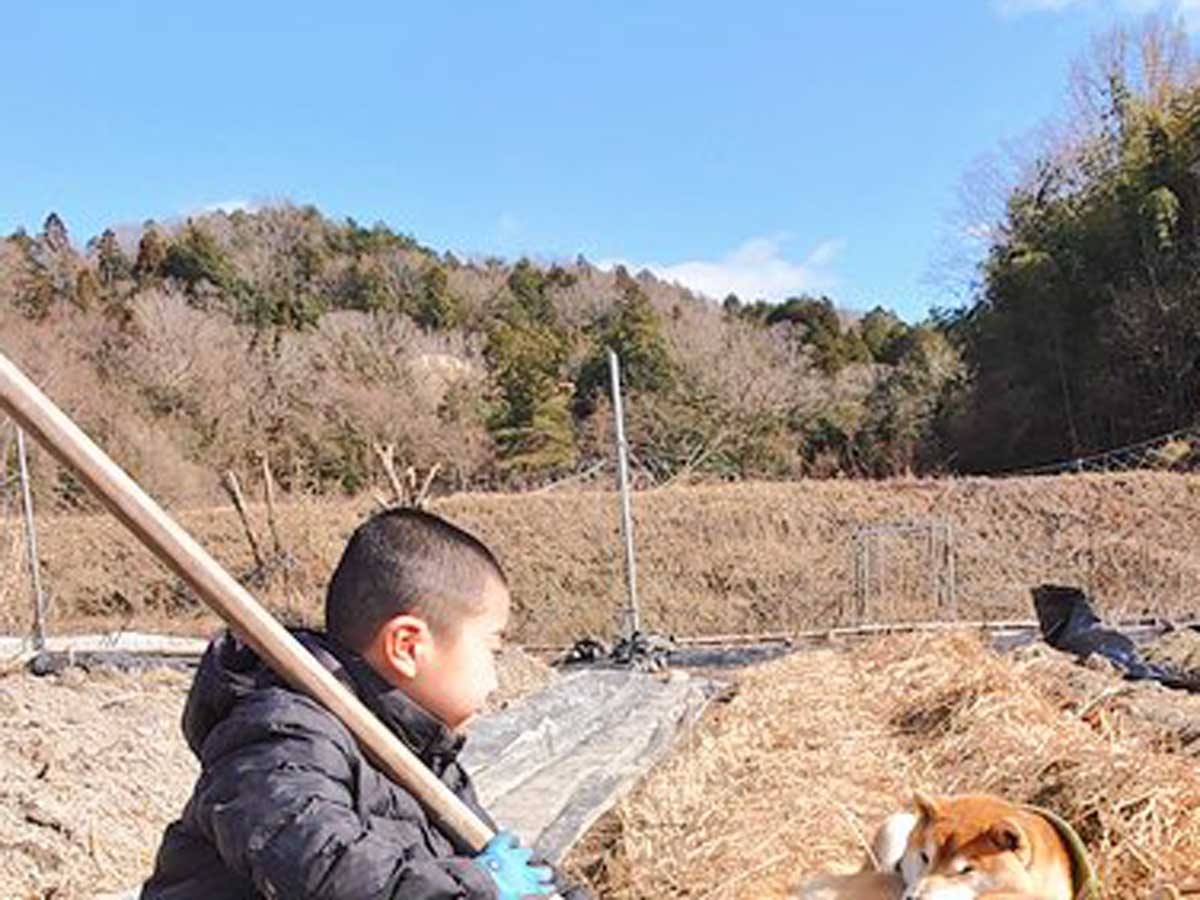 少年の写真