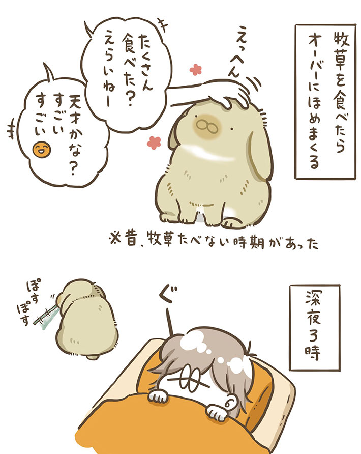 ウサギの漫画