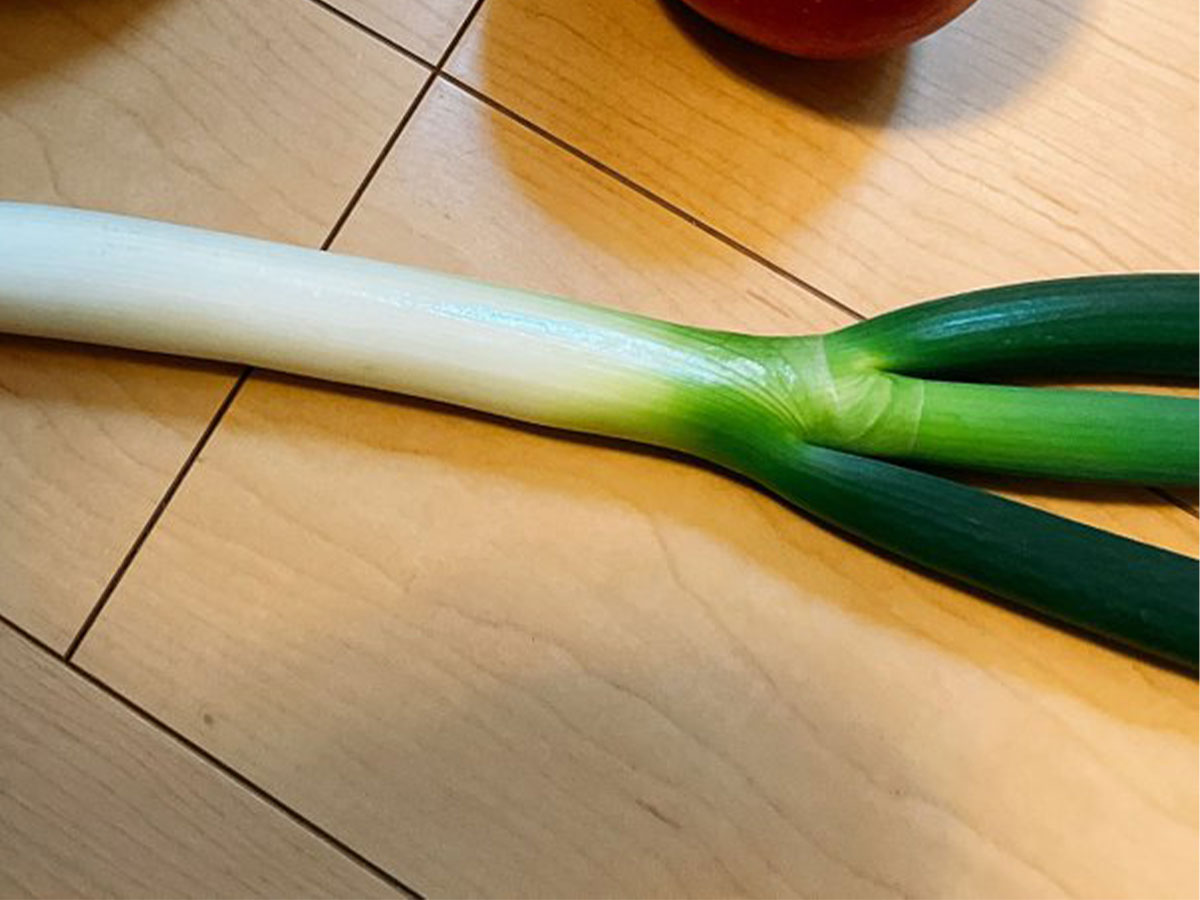 購入した果物と野菜の写真