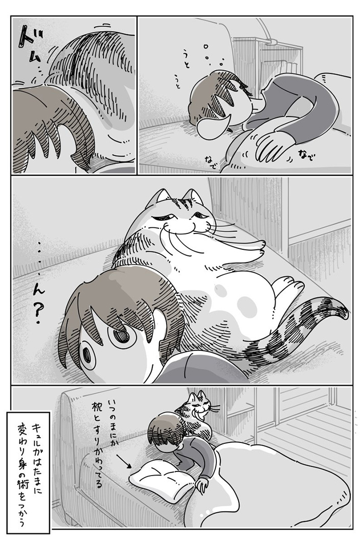 キュルZ（@kyuryuZ）さんの猫漫画