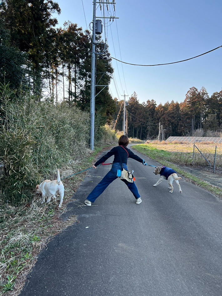 犬を散歩する女性